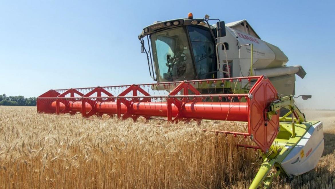 Экспорт российского зерна превысит 37,5 миллиона тонн