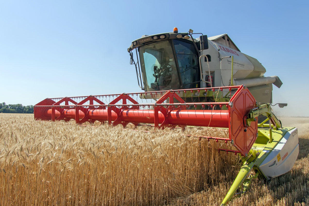 Россия установит рекорд по урожаю зерна